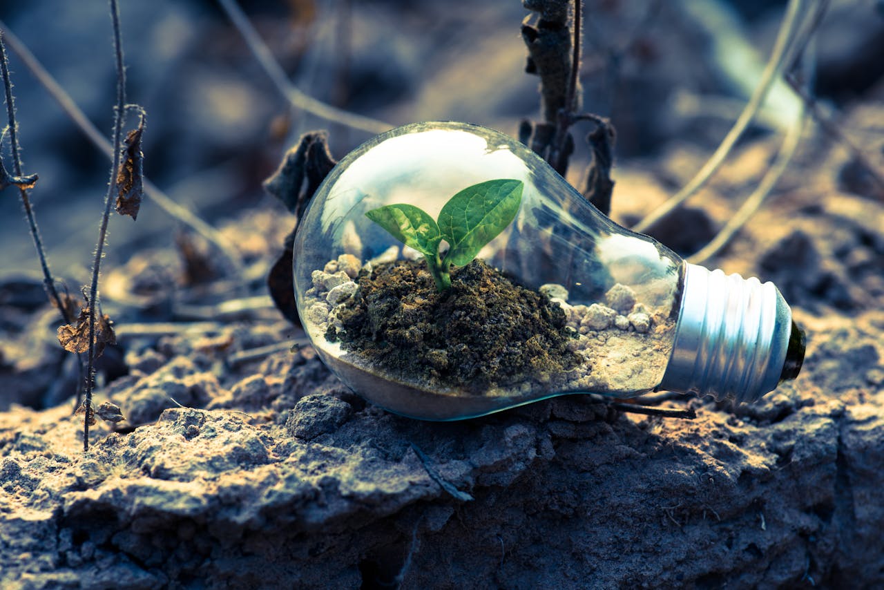 Wat het klimaatplan 2025 tot 2035 betekent voor Nederland