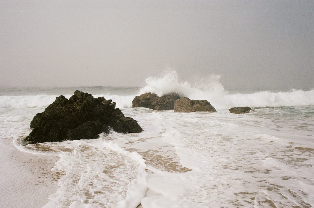 Kort haar met krullen: stijlen en tips voor krullend haar